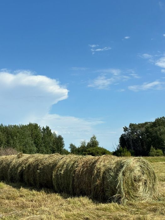 Продам Сатылады Урлон