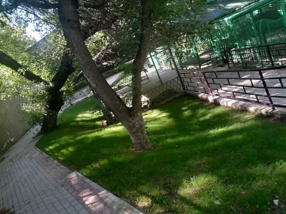 Газон және Автополив жасаймыз.