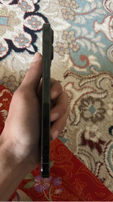 iPhone 13pro max