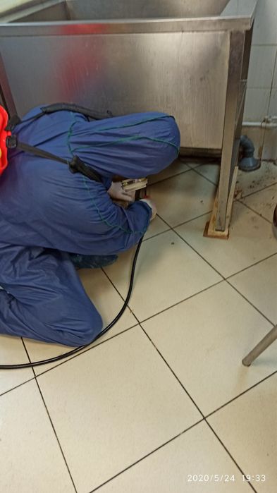 Dezinfeksiya Дезинфекция klop tarakan burga ilon клоп таракан запахи