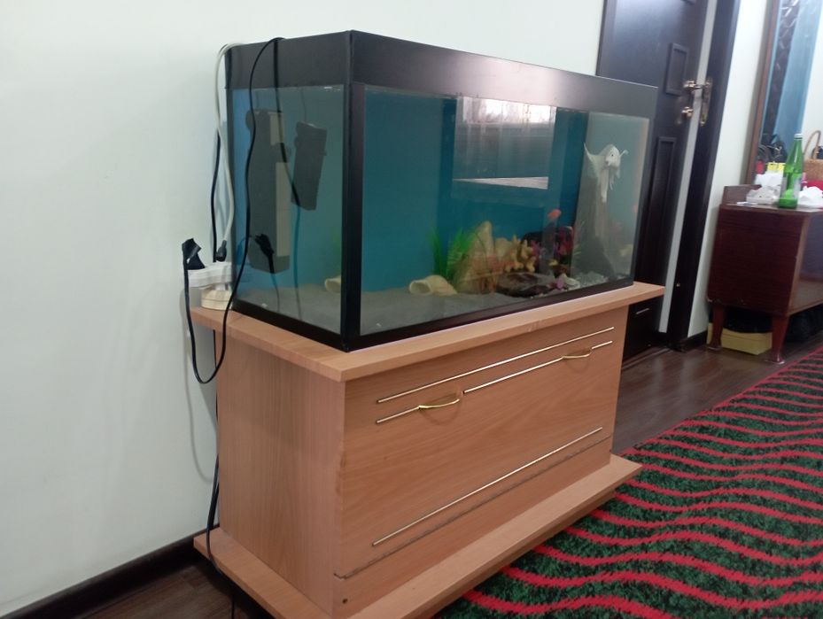 Akvarium sotiladi 80 litr tumbasi bn