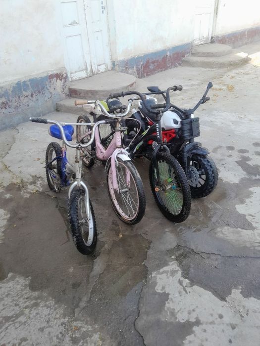 Velesapet detiski