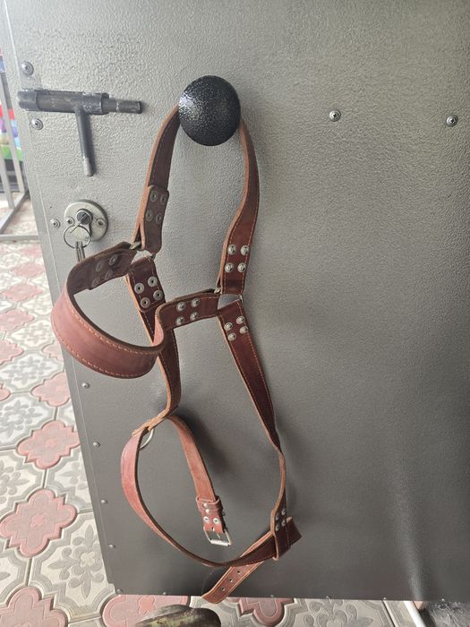 Продам собачьи принадлежности
