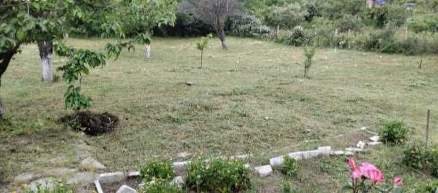 Косене на трева и други градинарски услуги - за гр.Бургас и региона