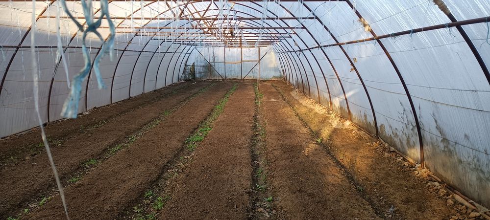 Исикхона сотилади