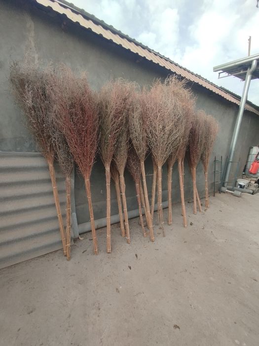 Веник сорго уличные.