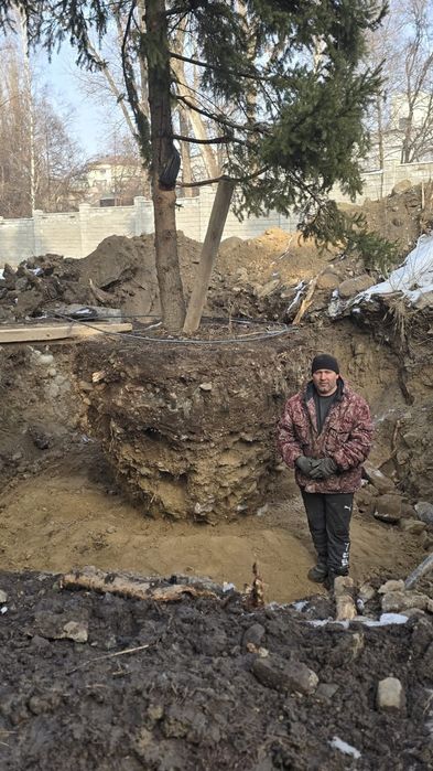 Пересадка посадка крупномеров