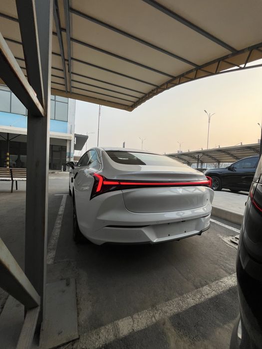 Neта С гибррит