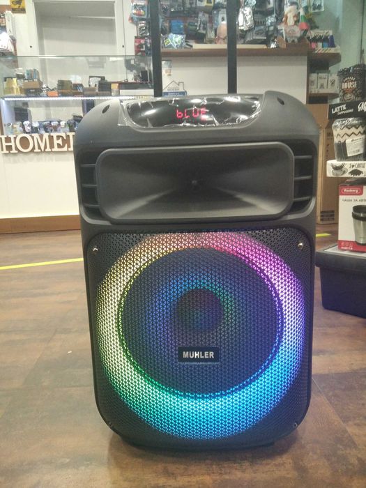 НОВИ Мощна активна караоке колона 12/15 инча с два безжични микрофона