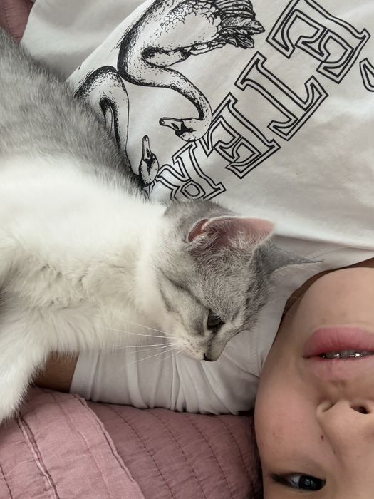 Котятки 2 месяца