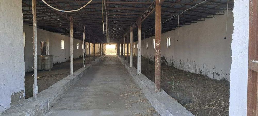 Molxona bino va inshootlari