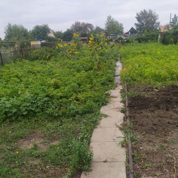 Продается дача в Д.О. Черемушки