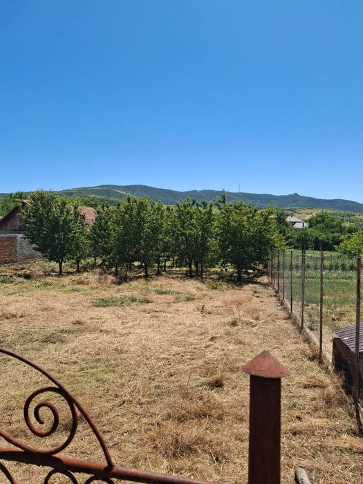 Teren intravilan, in localitatea Mâsca, comuna Șiria, loc de casa.