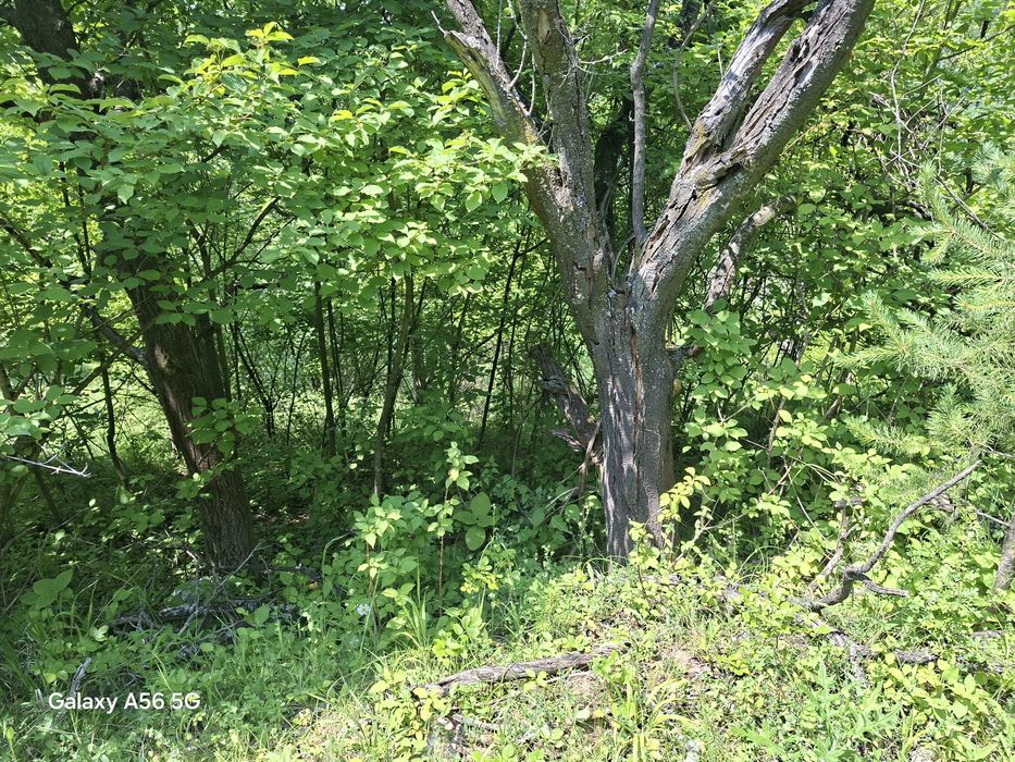 Продава се Къща в с. Гара Лакатник, Област София-област - 30 кв.м за 834 €/кв.м - Снимка #19