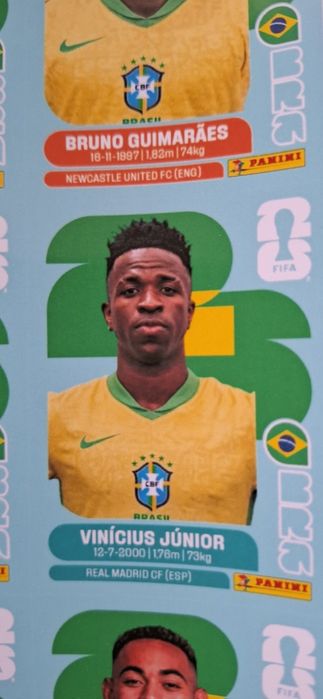 Album Pdf panini world cup 2026
