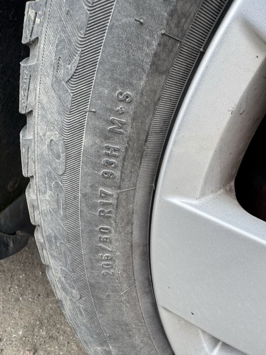 Jante Belmont golf5, golf8