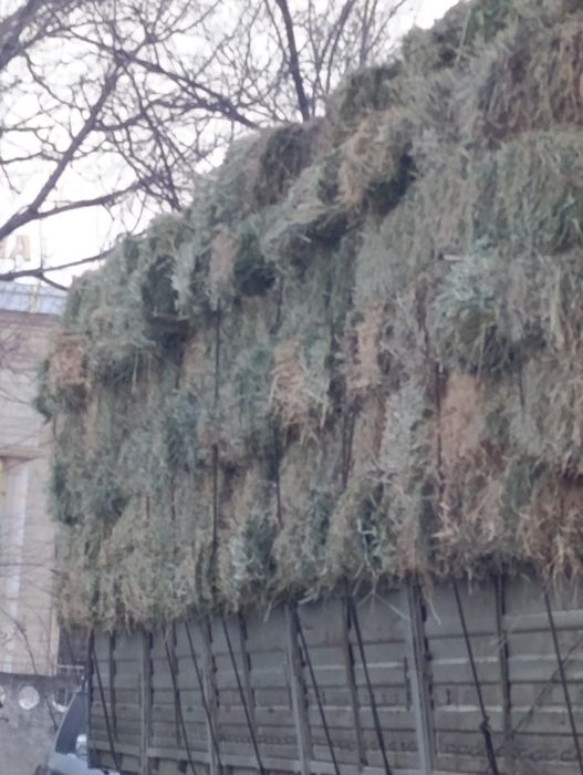 Продам сено в тюках