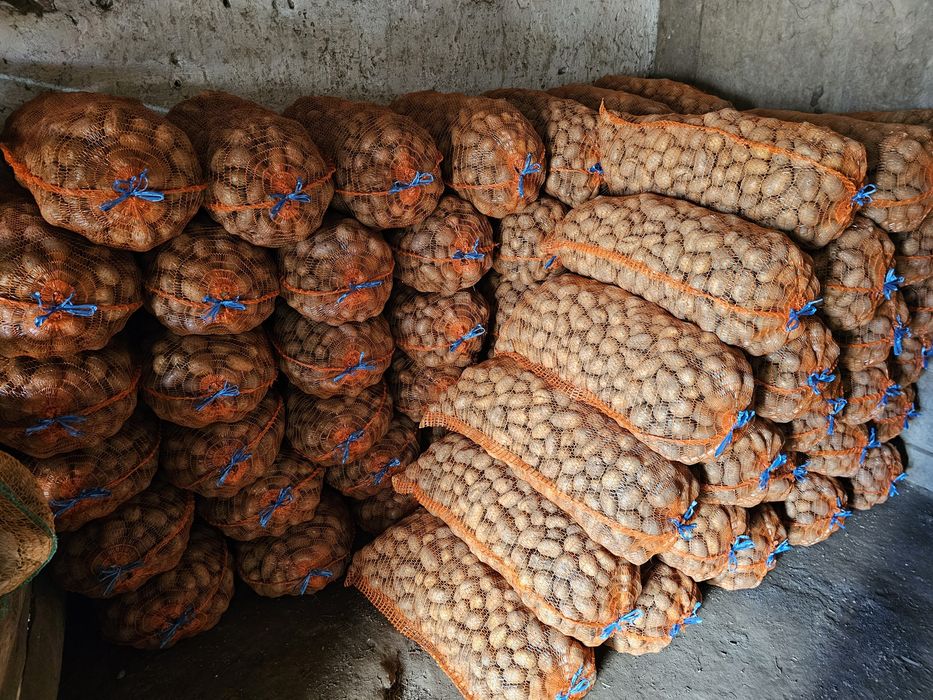 Cartofi de samanta Jelly