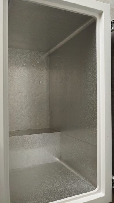 Холадельник моразелник