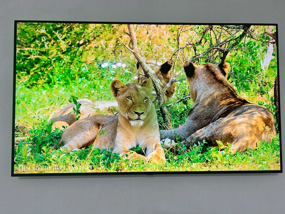 Телевизор LG OLED