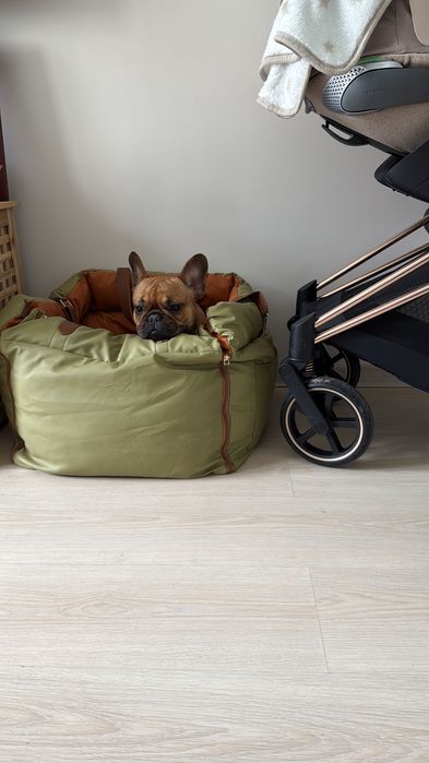 Scaun auto pentru caine tip funny fuzzy