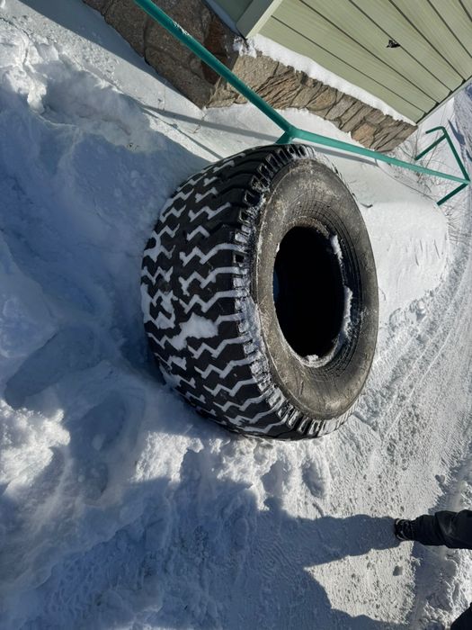 Резина  на телегу  ПТС