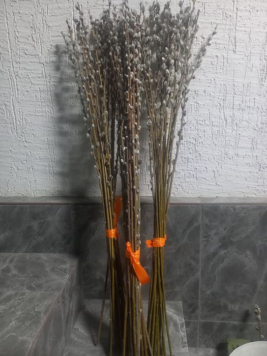 Верба 1 метровая