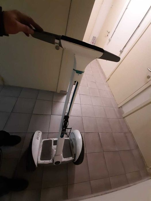 Segwey Ninebot-E (model P)