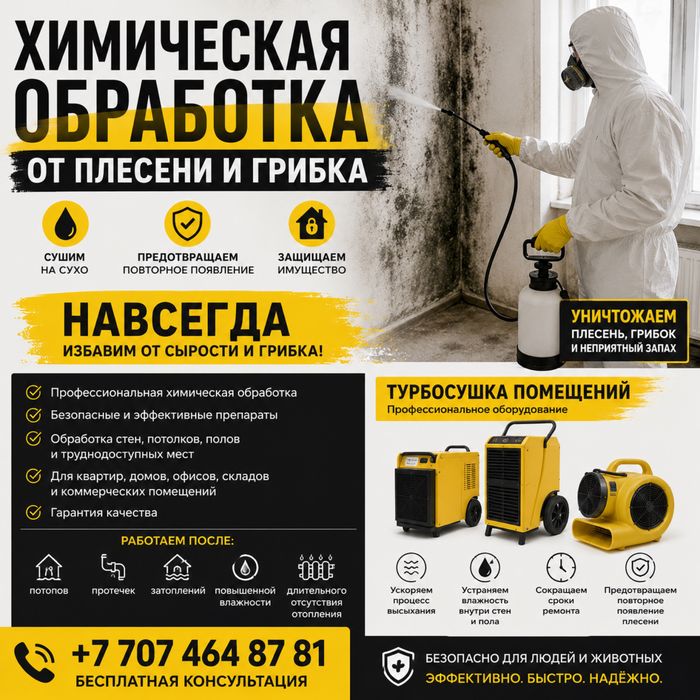 Химчистка после потопа, спасаем от сырости и плесени