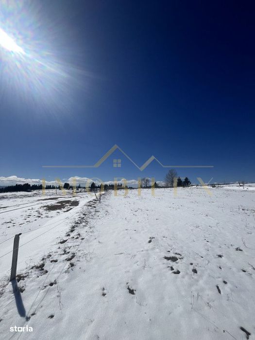 Teren in Marisel 5000 mp