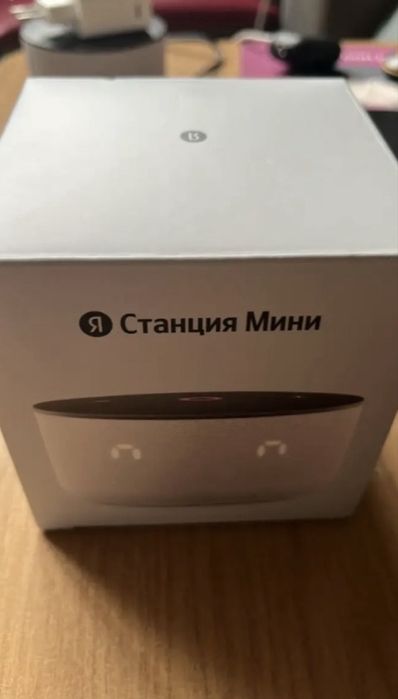 Алиса станция мини 3