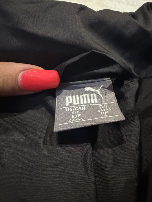 Яке (puma).
