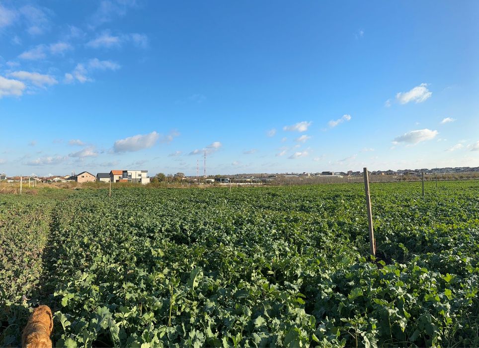 teren intravilan de vânzare – agigea, constanța – 500 mp