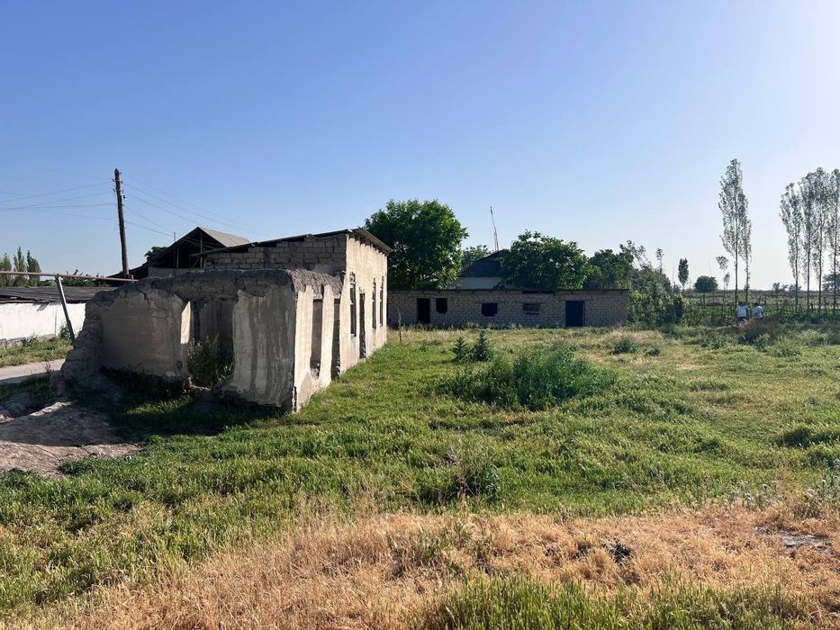 Участка 30 сотих. Кадастри бор