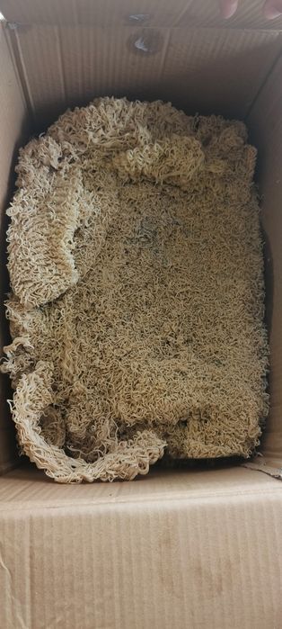 Лапша для животных