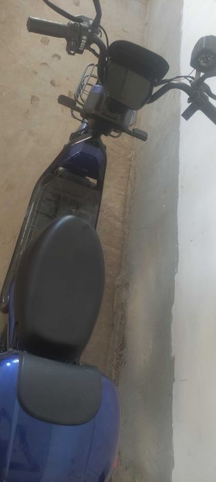 SHu yilgi maped sal qirilgan joylari bor Holati a'lo