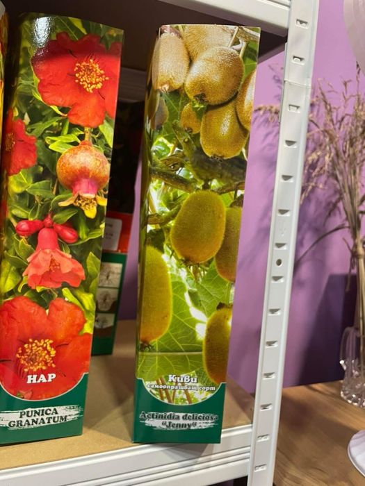 Градински растения - рози, нар, индийски люляк , смокиня …