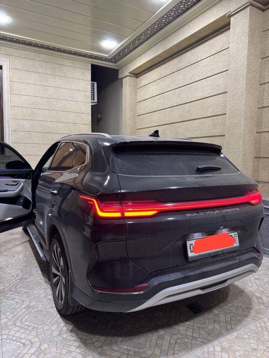 BYD CHEMPION. kraska toza