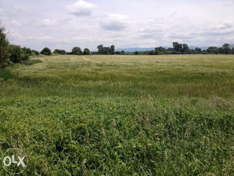 4330 кв.м. ПИ в Чепинци/ Чепинско шосе, Столична община