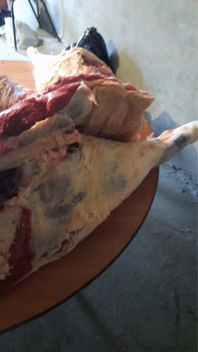 Продам мясо говядены
