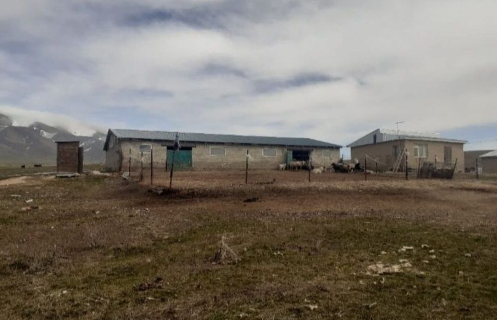 уй сатылады мал устағанға колайлы