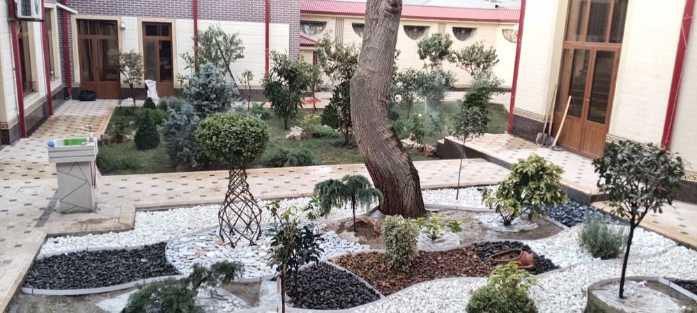 Gazon  archa  gul  darqx