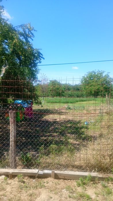 Casă de vânzare Agrișu Mare județul Arad