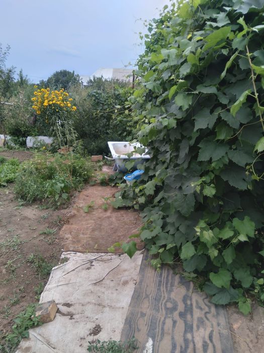 Продам дачный участок