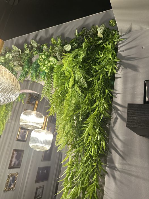 Продам декоративную зелень