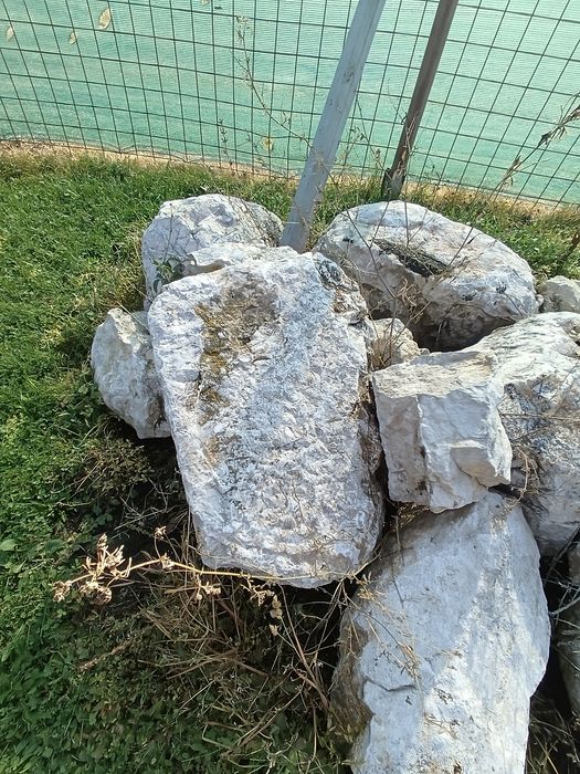 Piatra ornamentala grădină