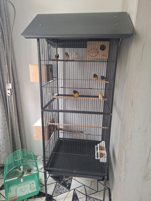 Gould  Amandine+Voliera