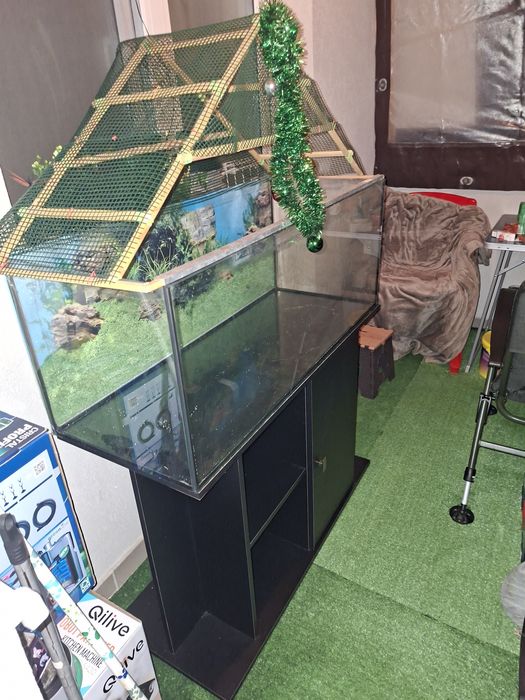 Vand acvariu 160 litri cu suport si bonus 5 ciclide africane