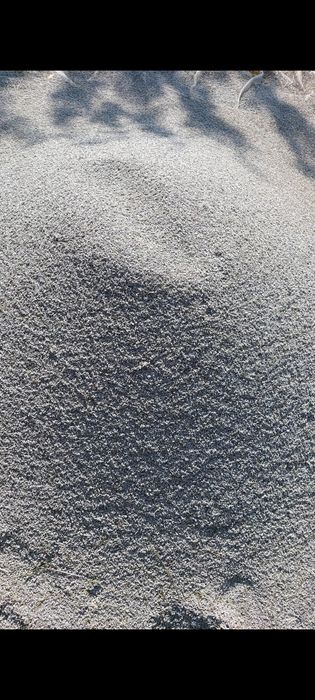 Lavanda  iulie 2025  floare uscata recent.