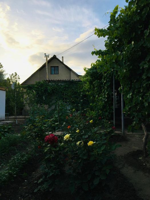 Karatau, үй сатылады!